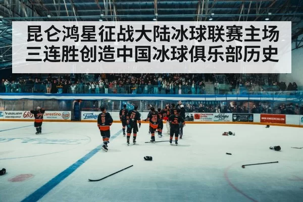 ice hockey arena crowd